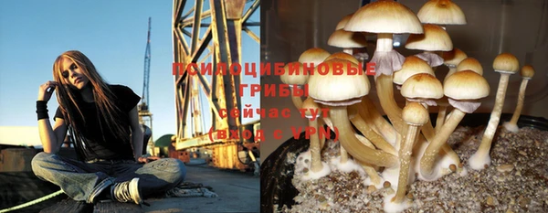 бошки Баксан